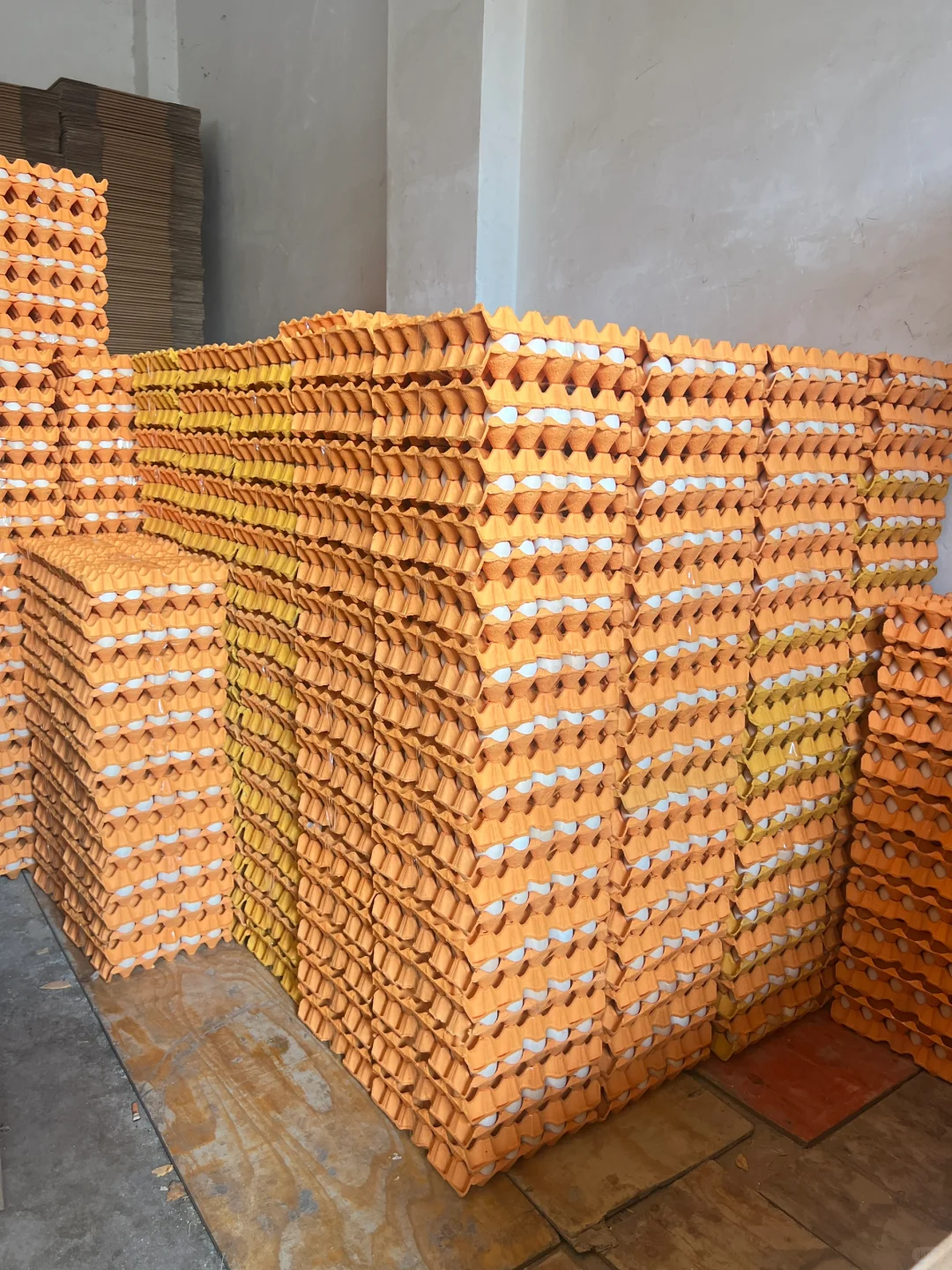 �ʼ�����������ӭȫ�������ϰ��µ�