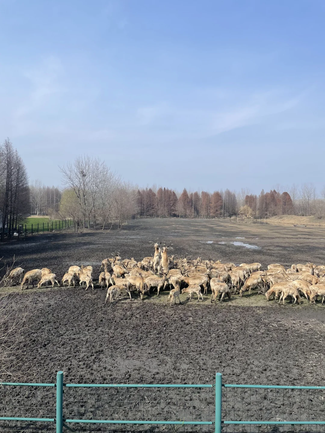 ������һ�������������Դ?