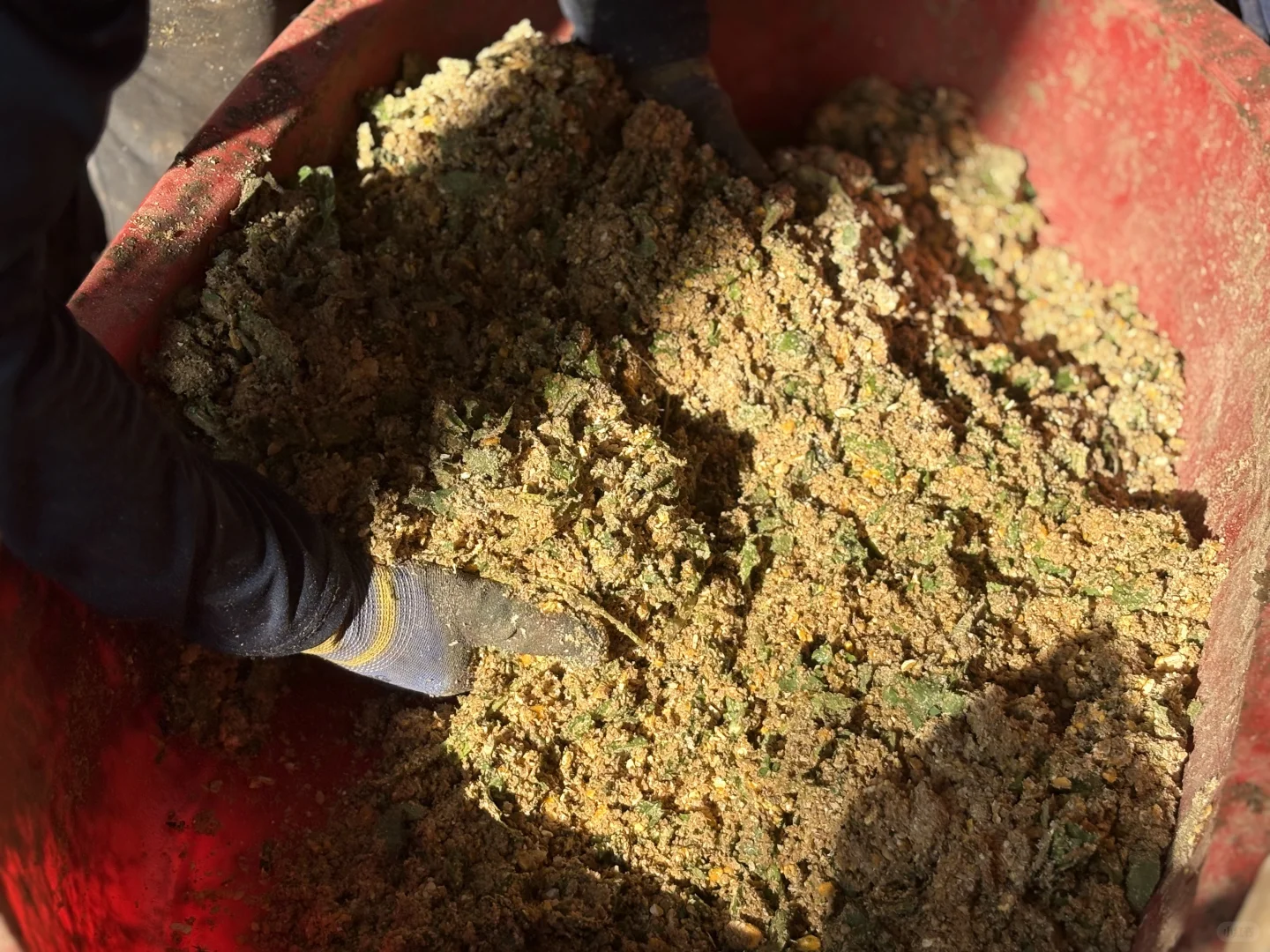 谈谈最近卖鸡蛋以来的感想