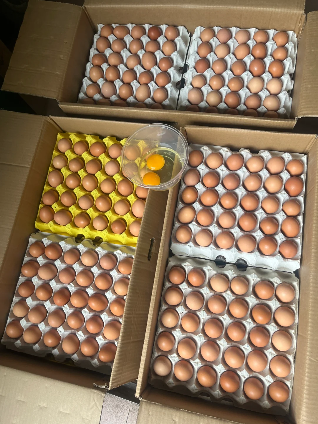 ��ǳ����� ����ֱ��