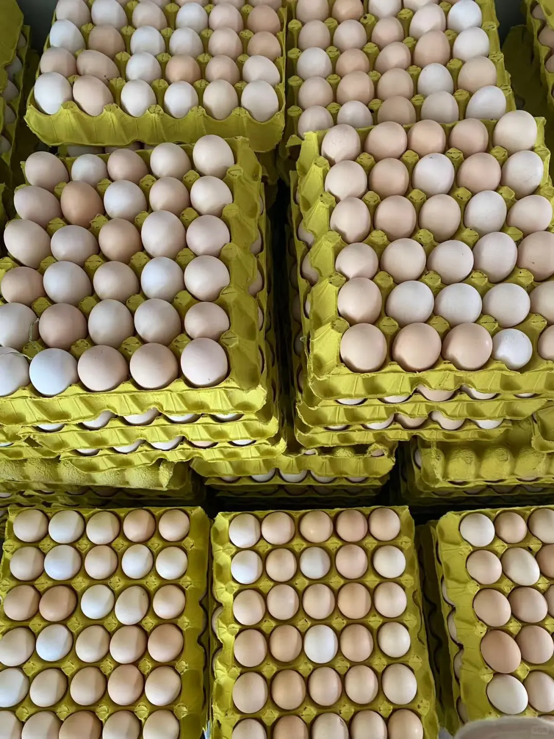 ���������ڷ۵������������С�۶���