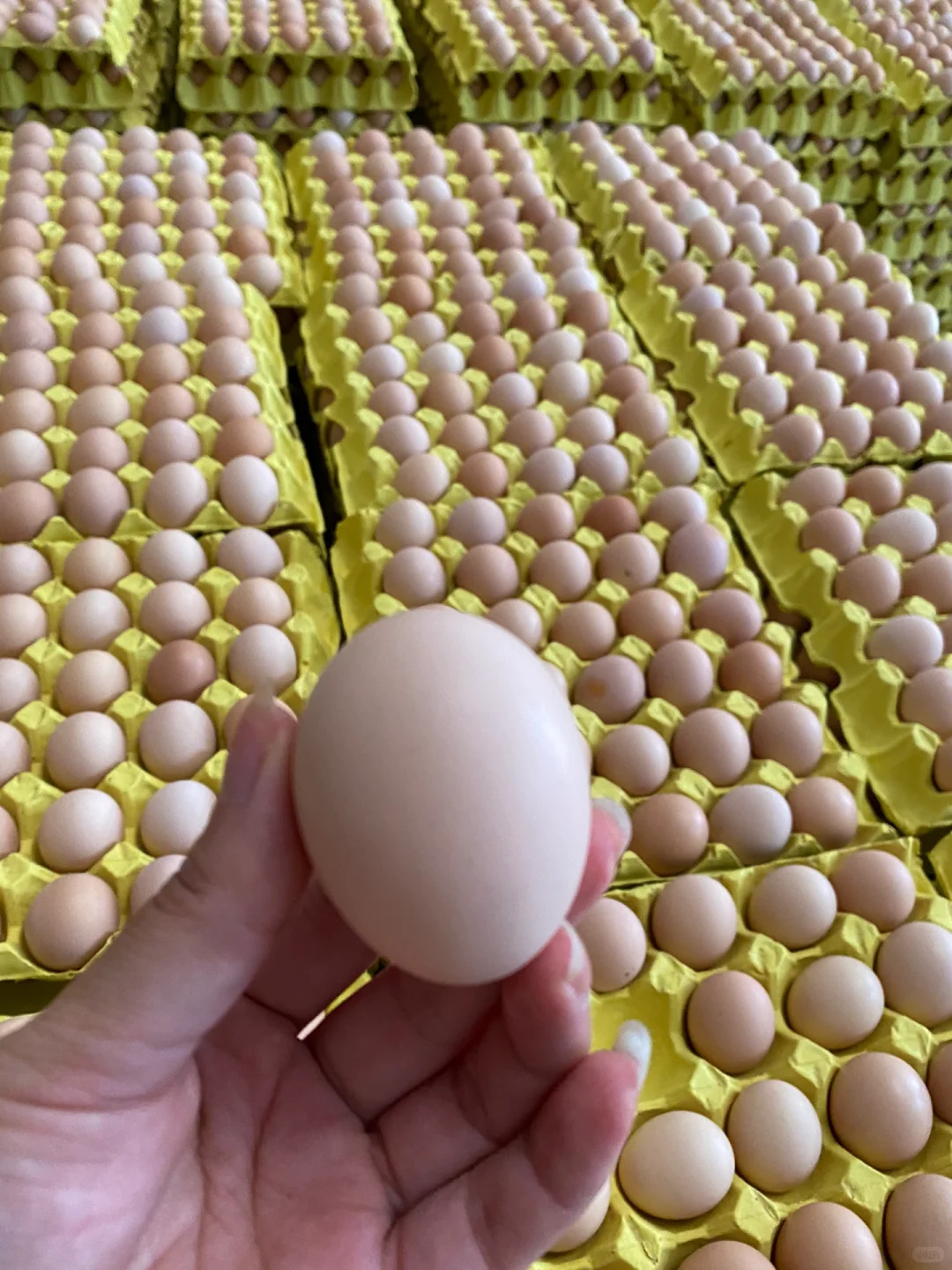 ˭�ܰ��Ұ���ô���ڵ���������һ��