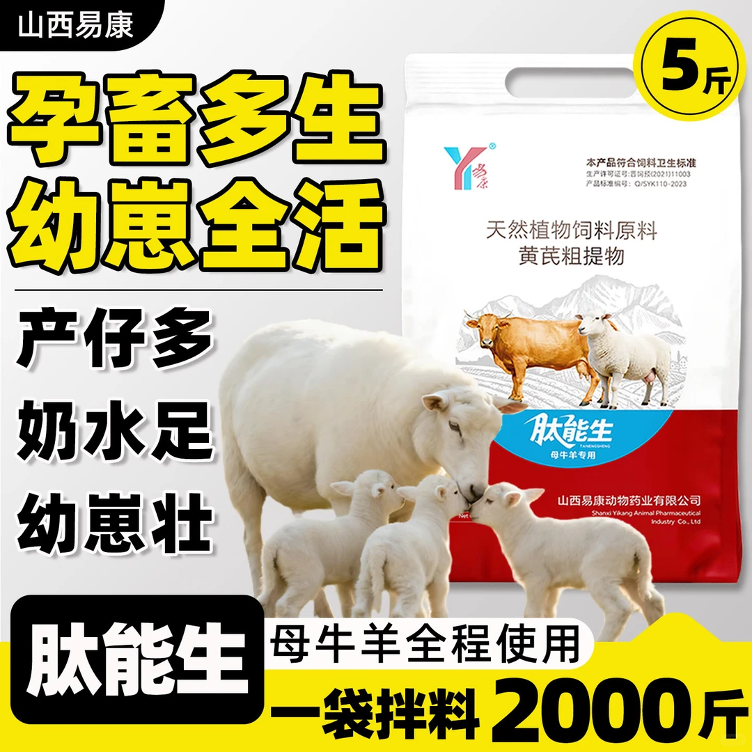 ����������̣������׿���������