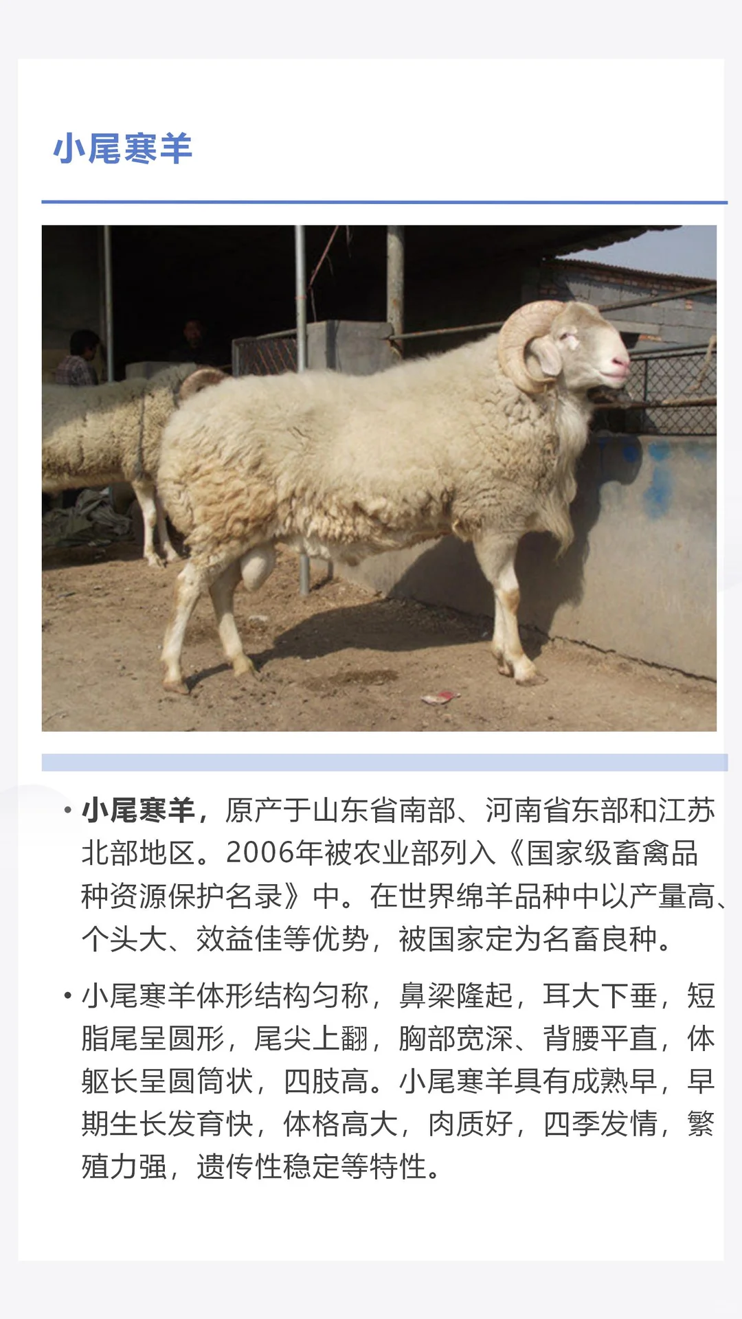 �������������������һ������