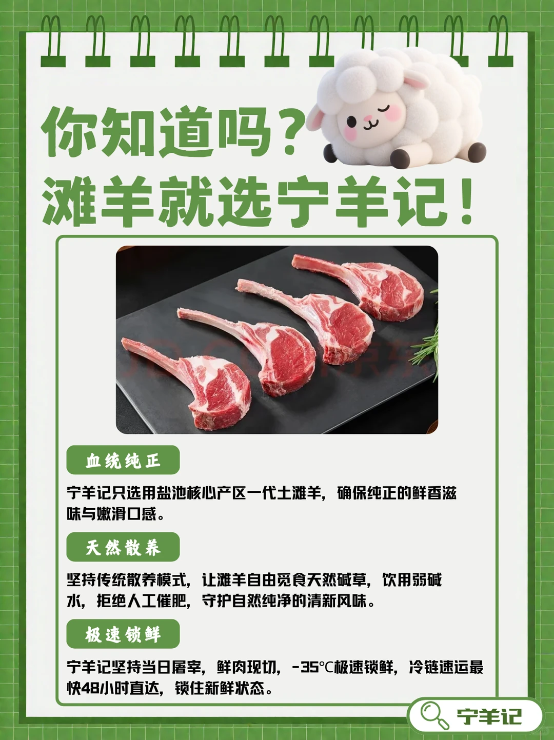 盘点羊品种?|原来盐池滩羊才是美味担当