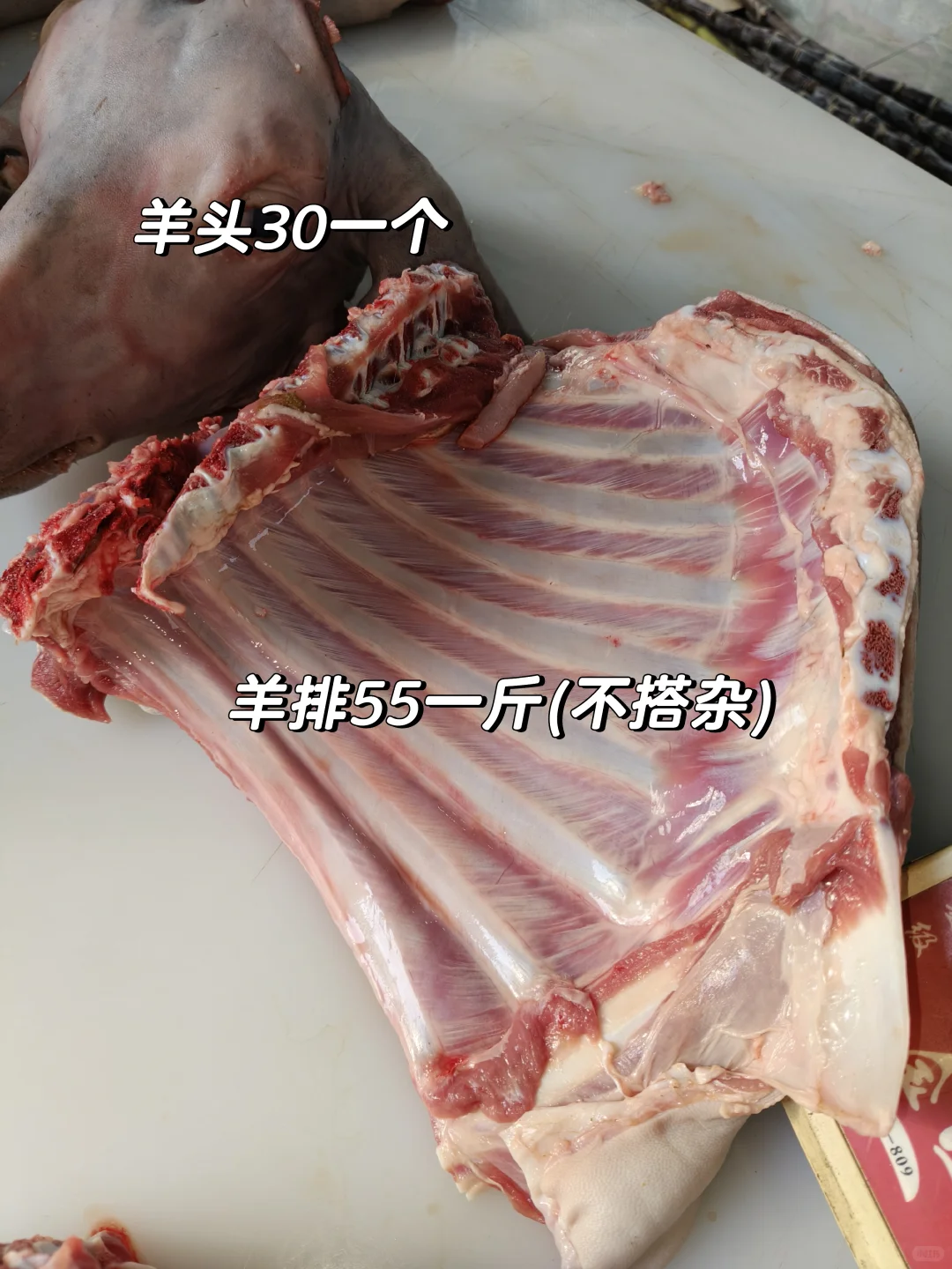 明天11月29号,黑山羊到钟村档口