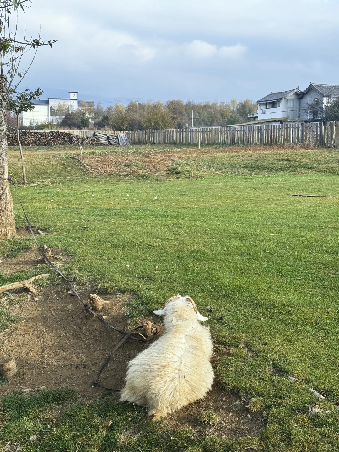 С�����ʲô����