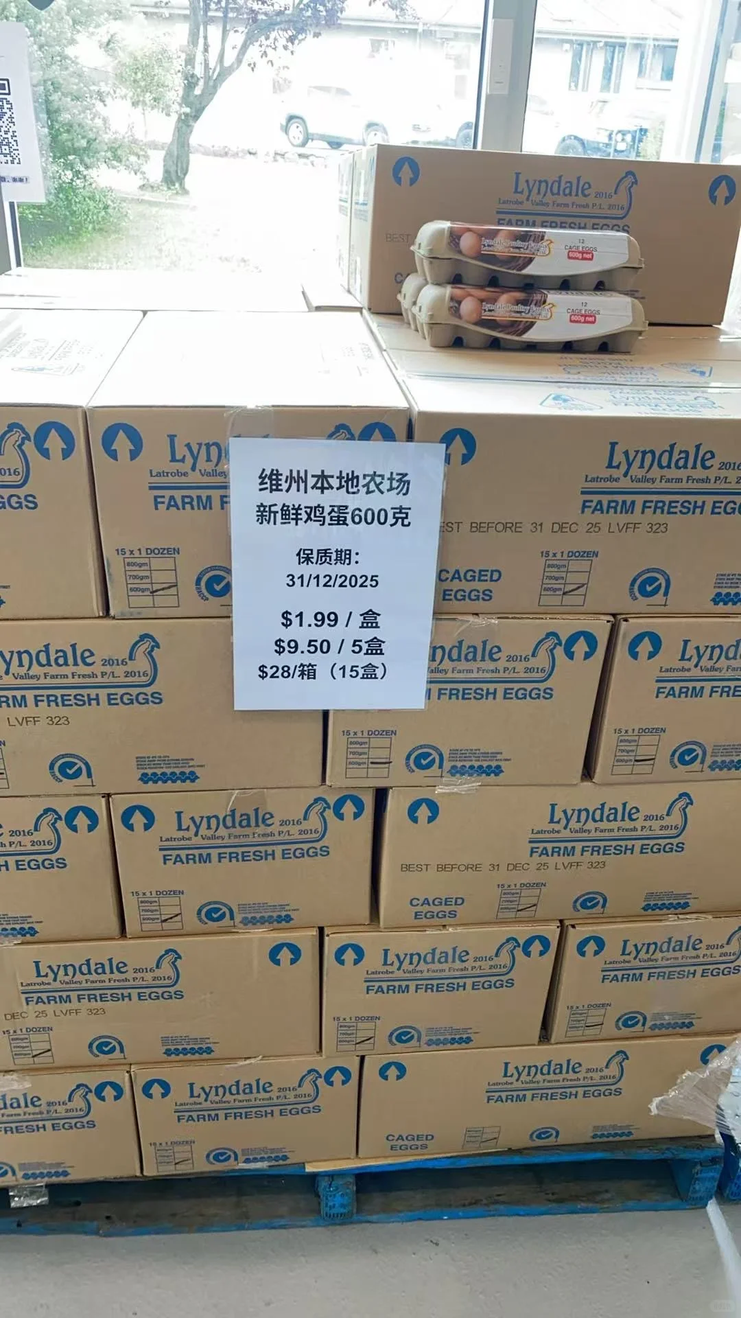 Nunawadingī����?���⵰��������