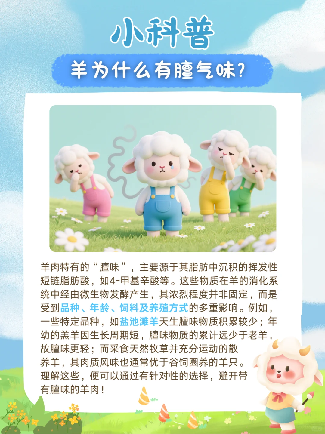 1??分钟学会如何挑选好吃还不膻的羊肉