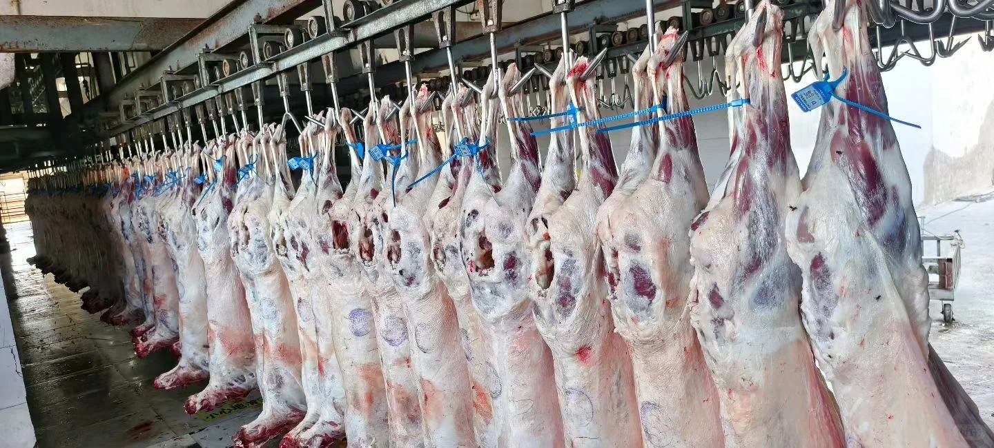 �½���ͷ��Ϊʲô�ó���