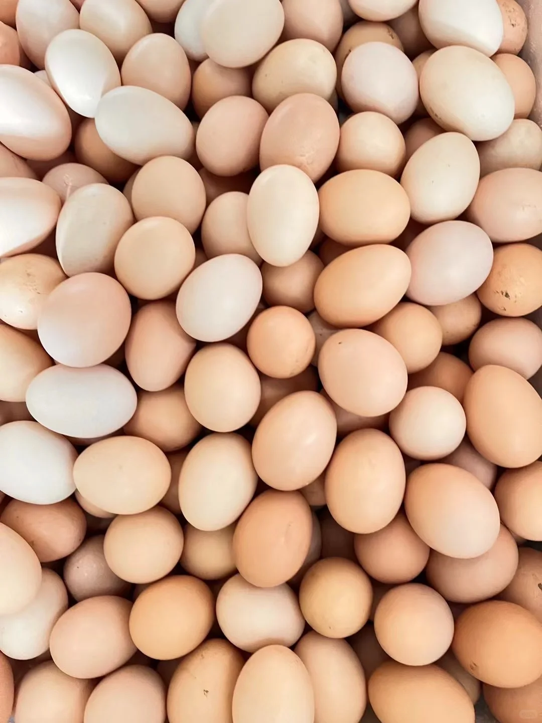 ɢ�������� ��ӭ�˽�