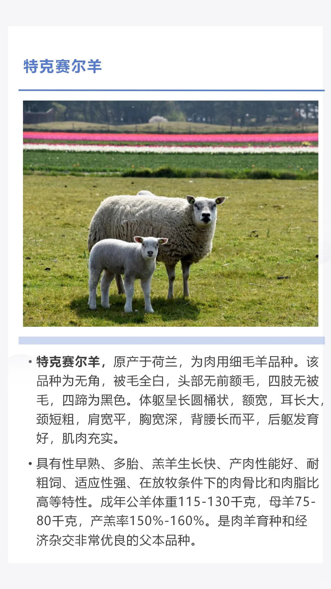 �������������������һ������