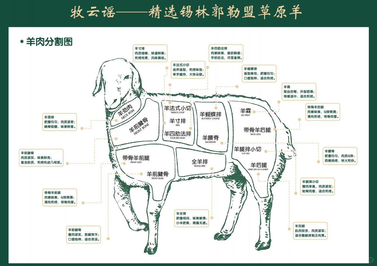 ���ҥ�����ɹŲ�ԭɢ�������