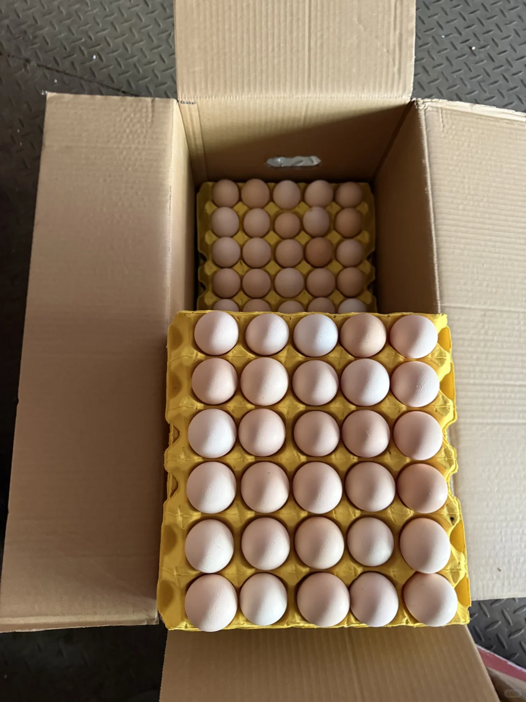 �Ͼ���������