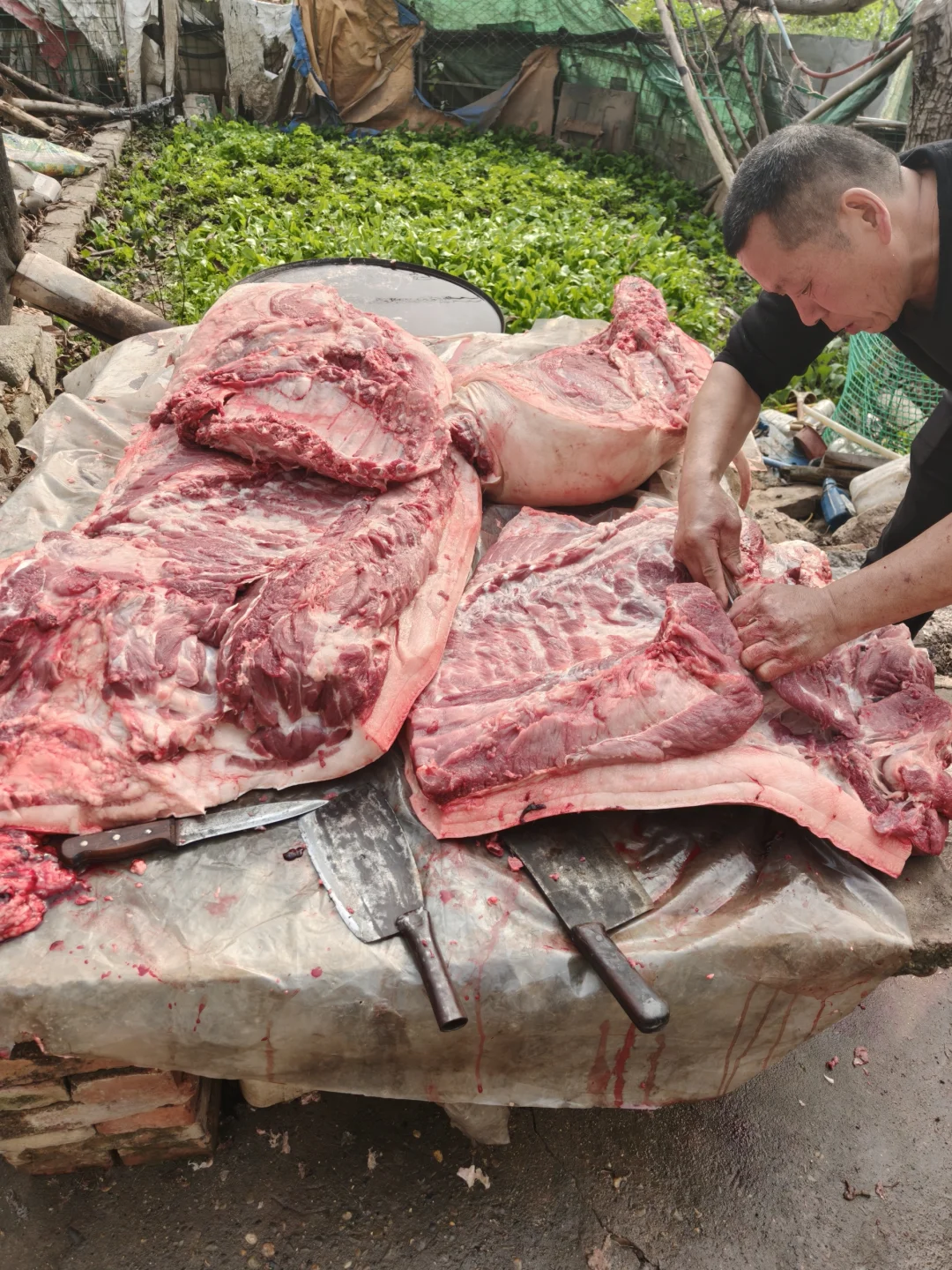 ũ����ʳ?����Ҫ����