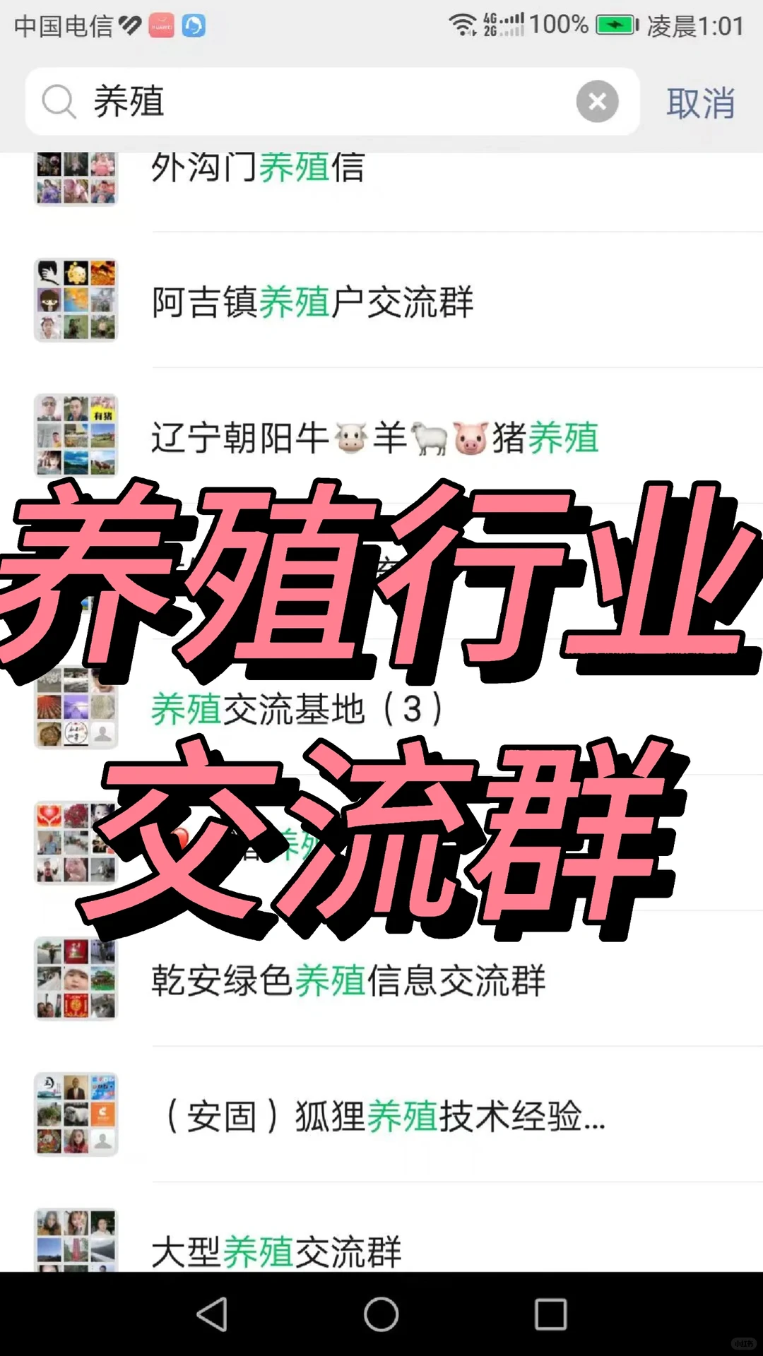 ��ֳȺ ��ҵȺ