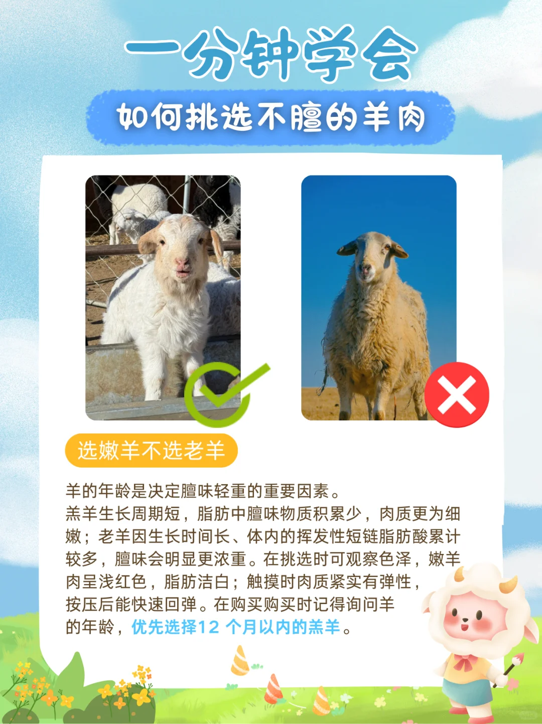 1??分钟学会如何挑选好吃还不膻的羊肉