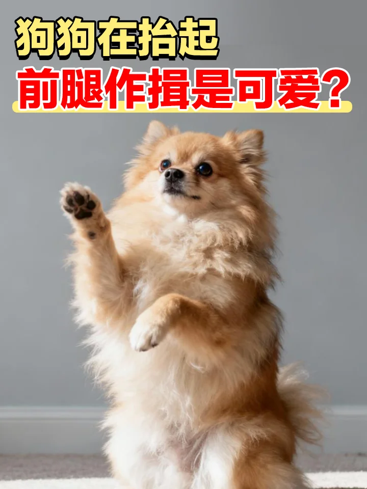 Ϊʲô80%�Ĺ������йؽ����⣿