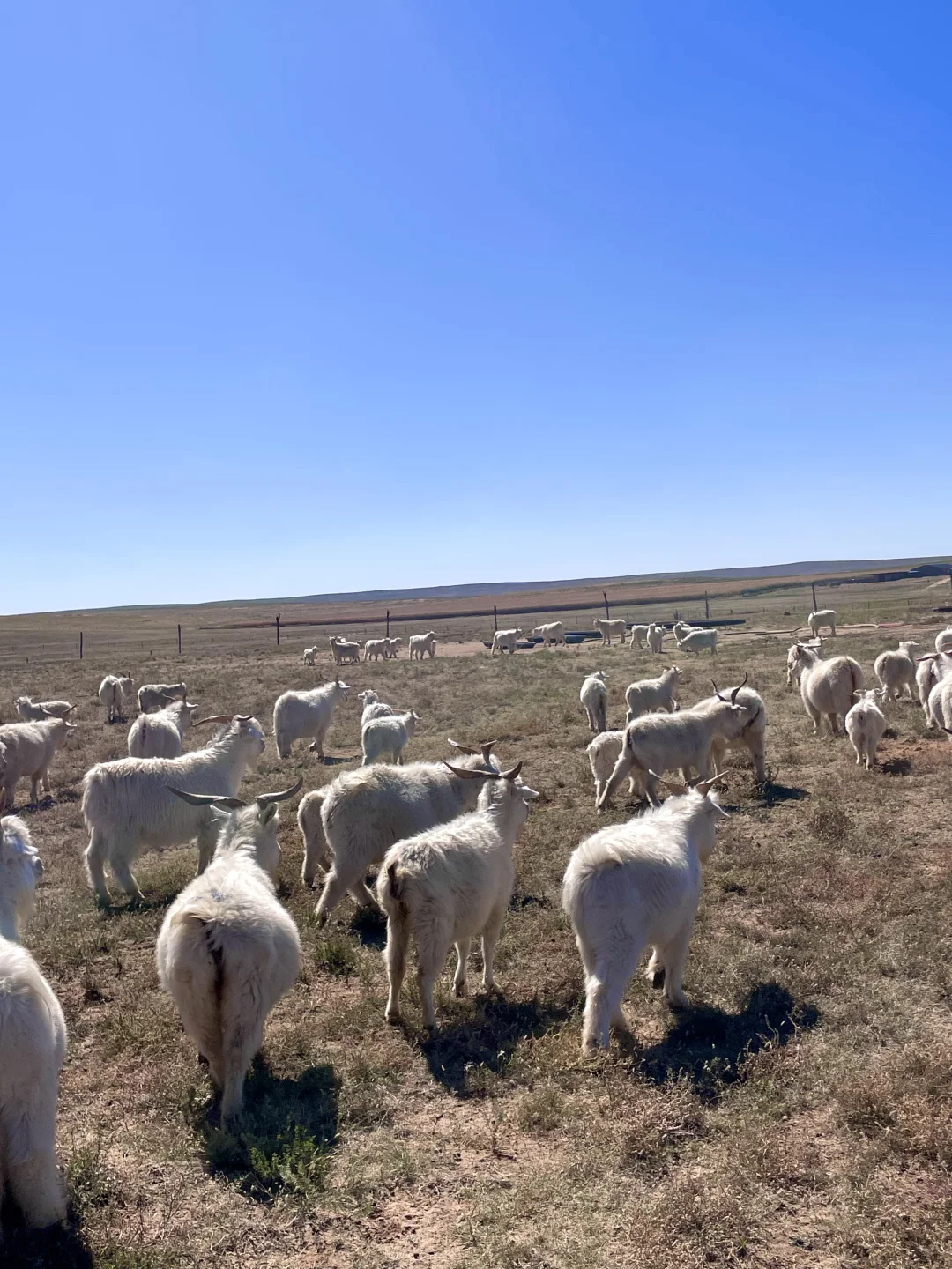 ������ �����ɵ����� �����Լ�������������