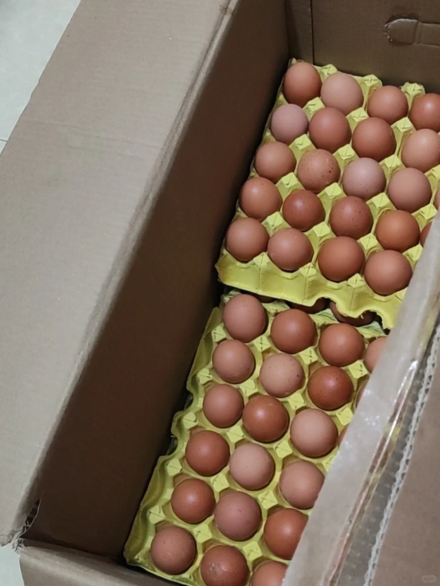 �Ϻ��ֶ����Ÿ���������32һ��