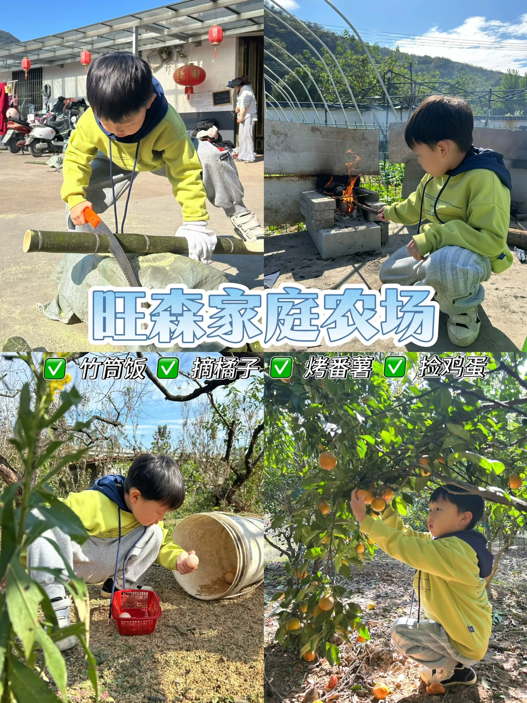 绍兴|带娃去做竹筒饭烤番薯摘橘子捡鸡蛋啦