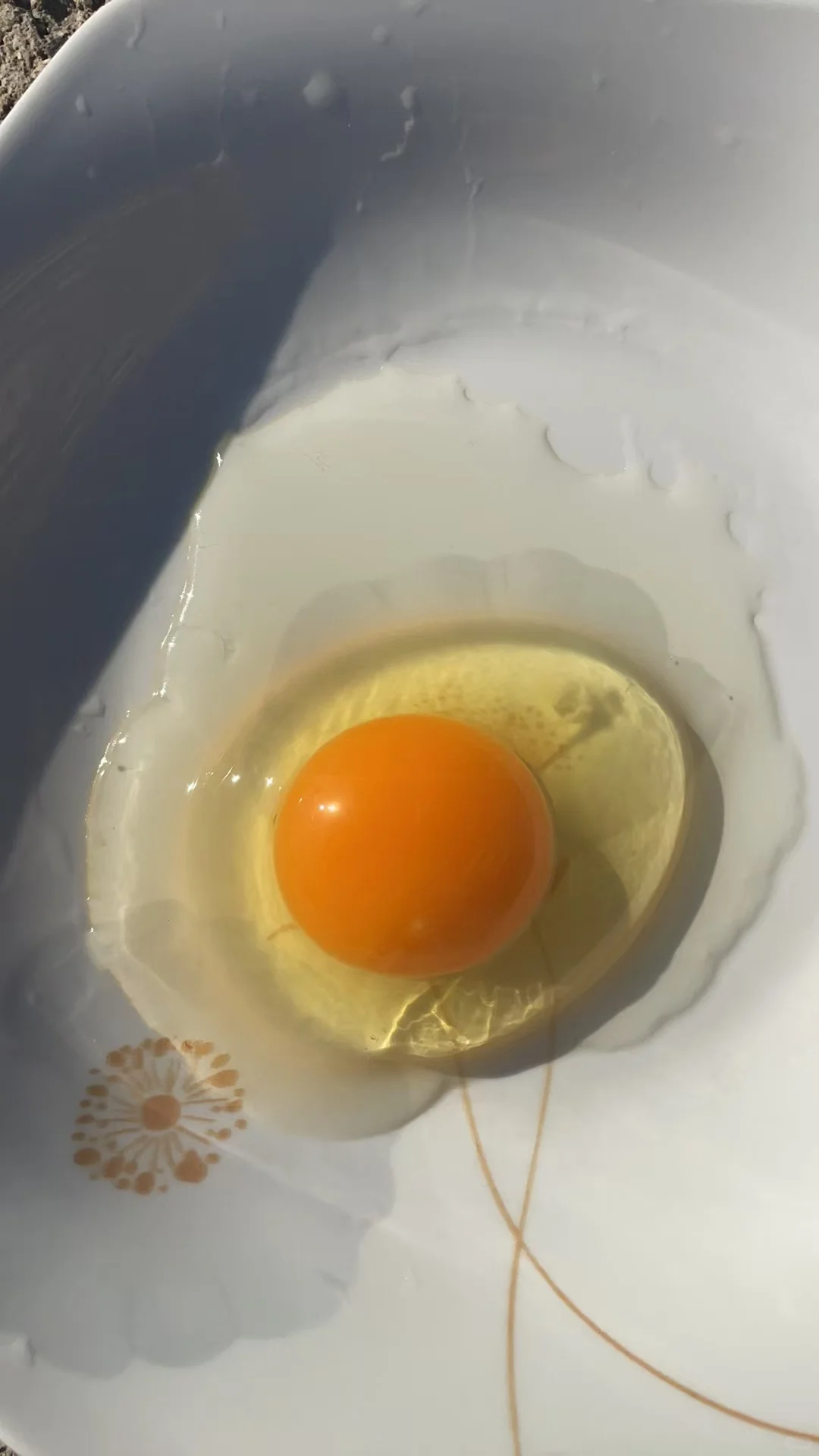 ���к�ǵ�ѽ