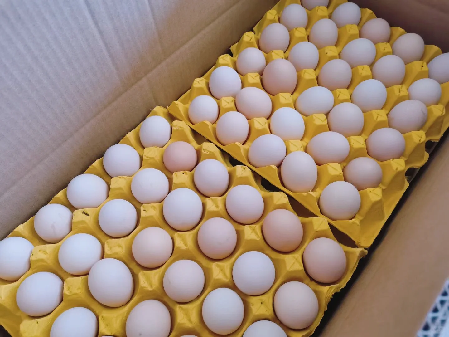 ������һ�ֻ�Դ