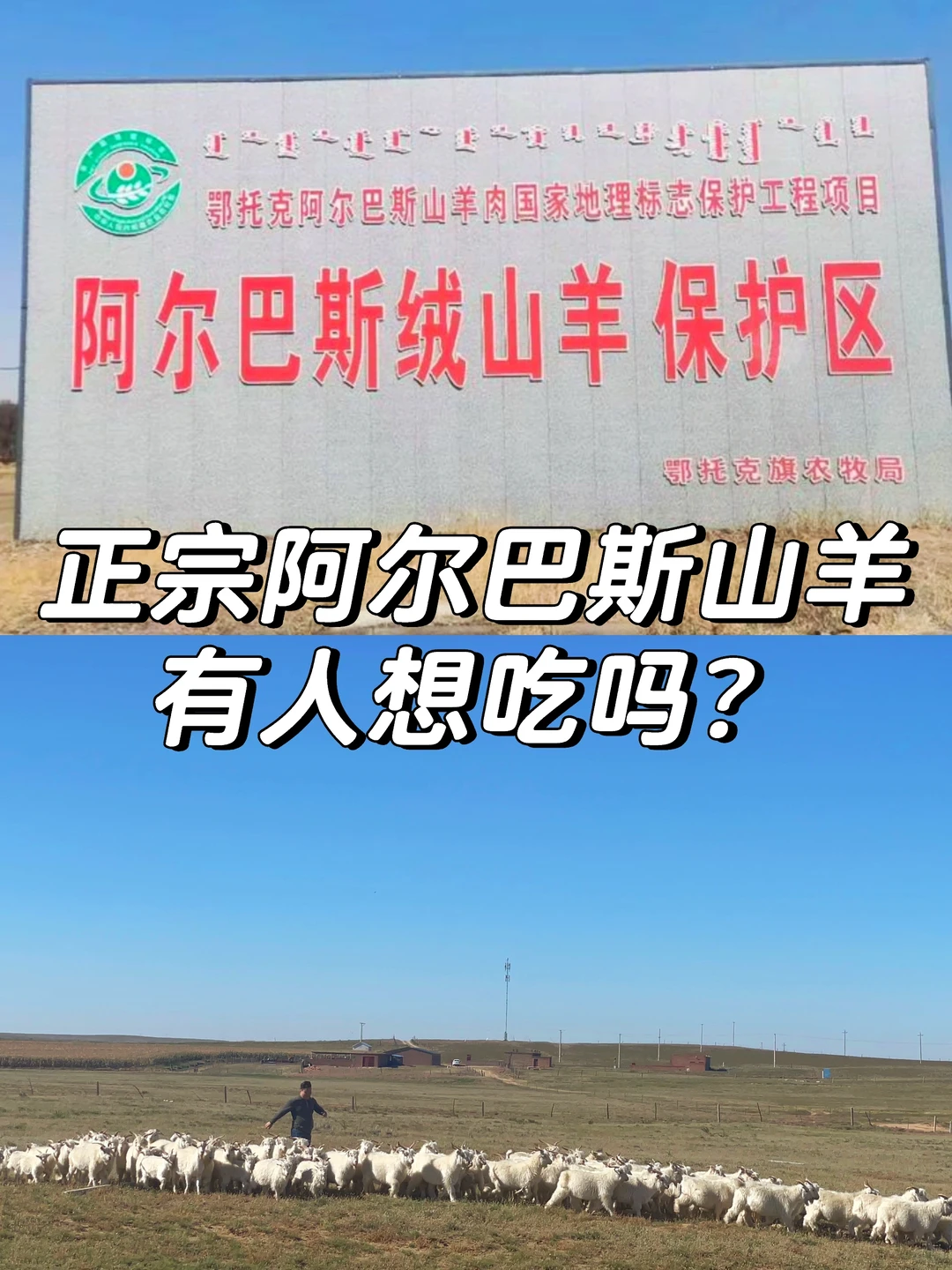 ������ �����ɵ����� �����Լ�������������