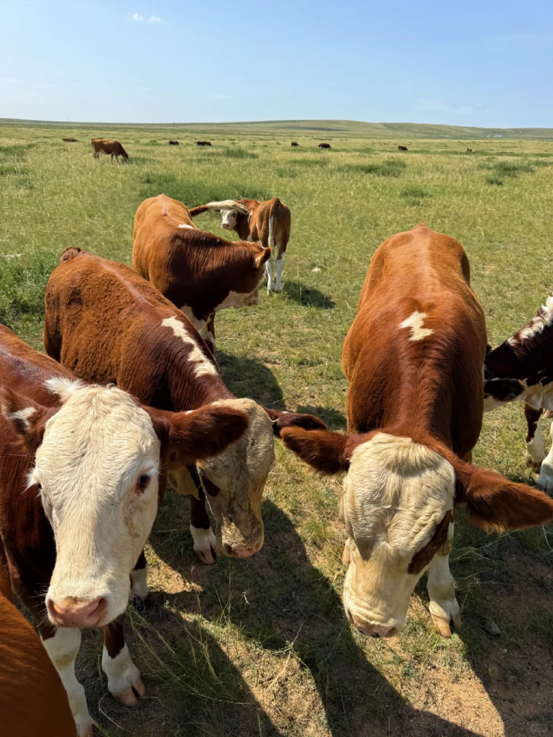 ���⻷��������ţ���ܲ��ó���