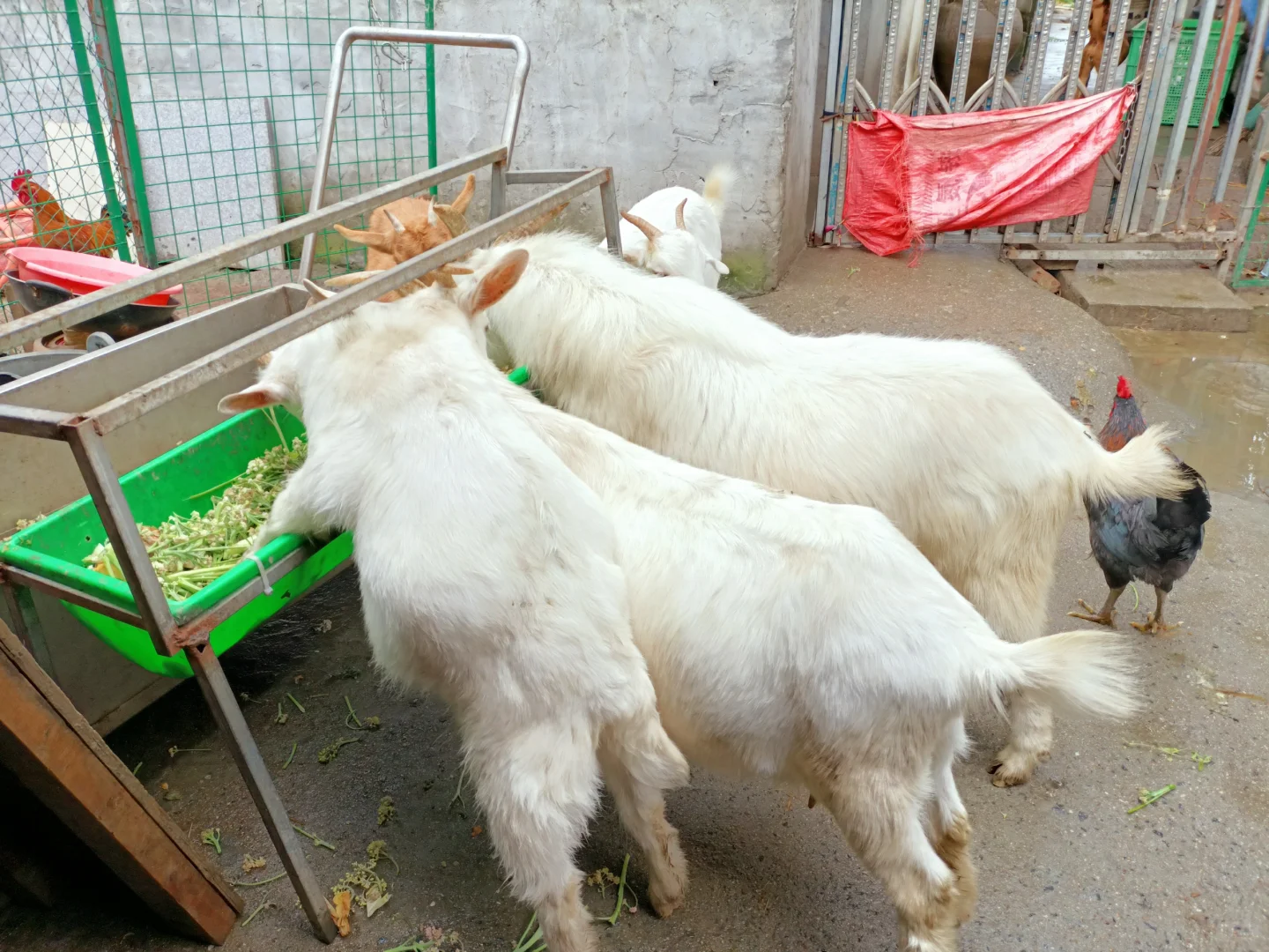 ĸɽ��20һ�̨��·��