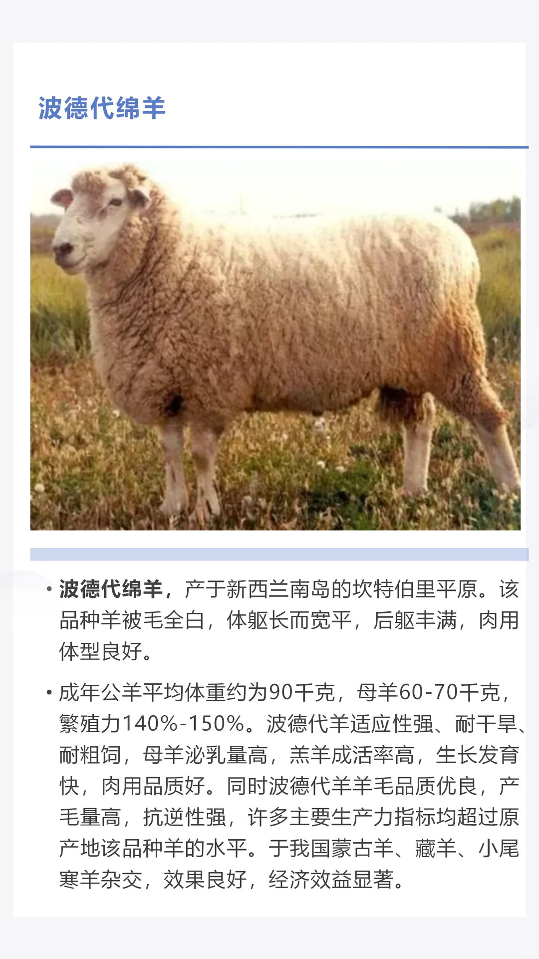 �������������������һ������