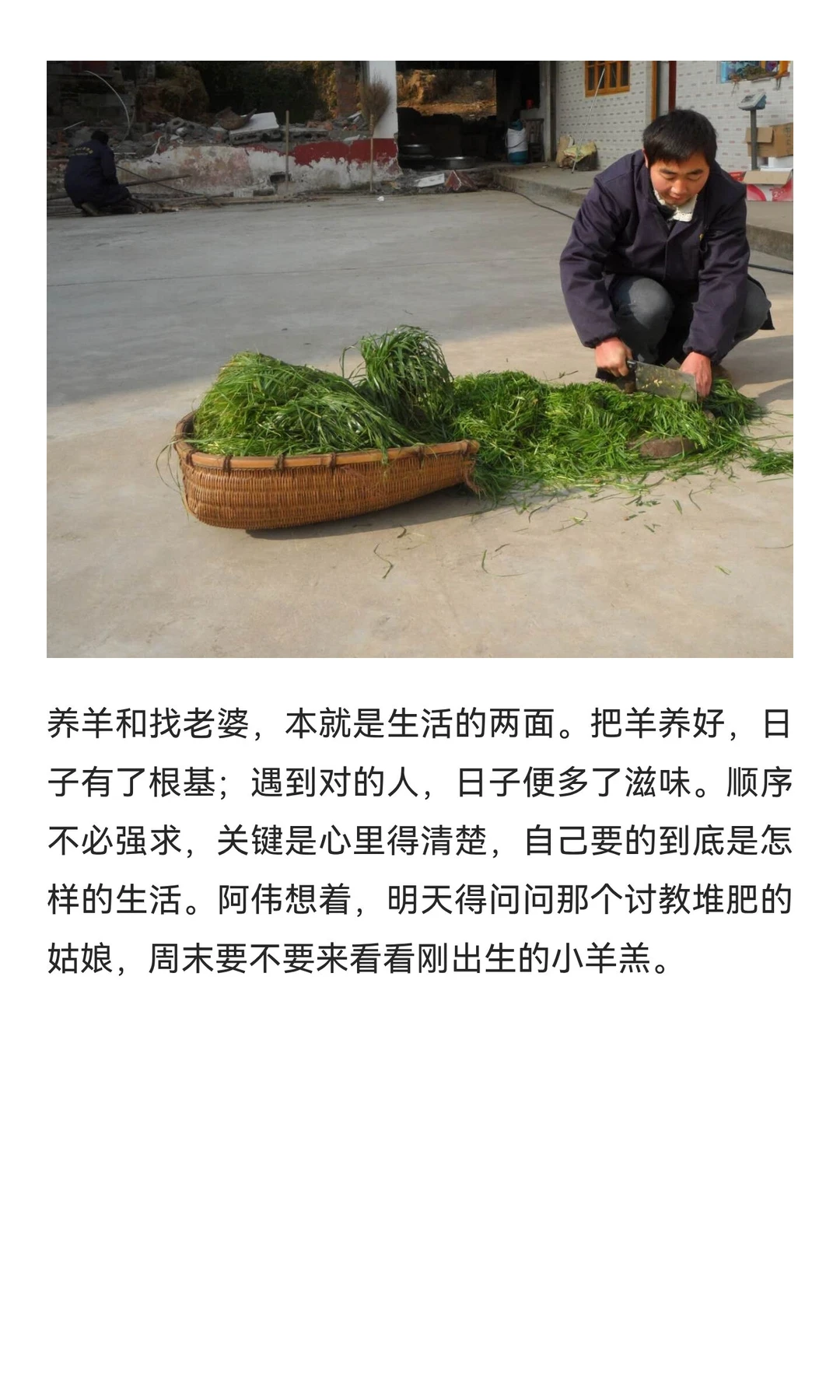 ��ʮ�໹������û���ţ��ȳ�ȥ��ϱ���ٻ���