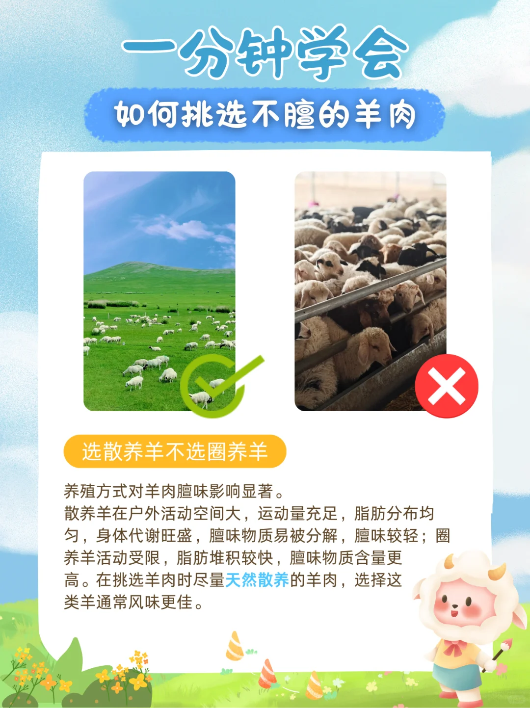 1??分钟学会如何挑选好吃还不膻的羊肉