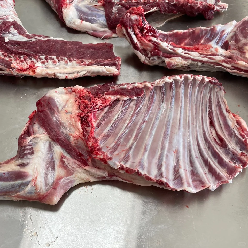 Ц����үү˵���ɽ��һ������Ҫ��˭Ҫ��