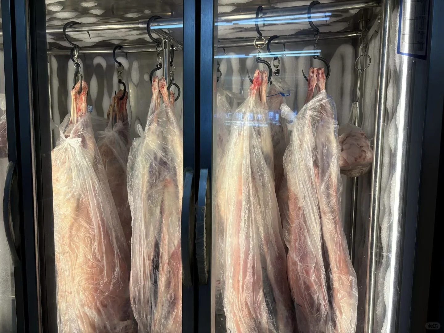 咱家的羊肉为什么不膳?