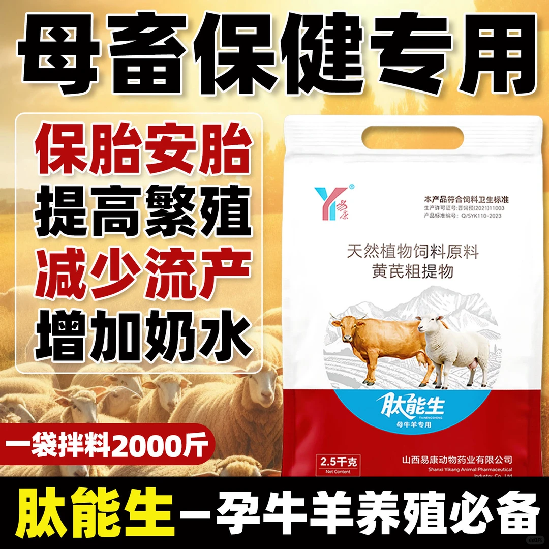 ����������̣������׿���������