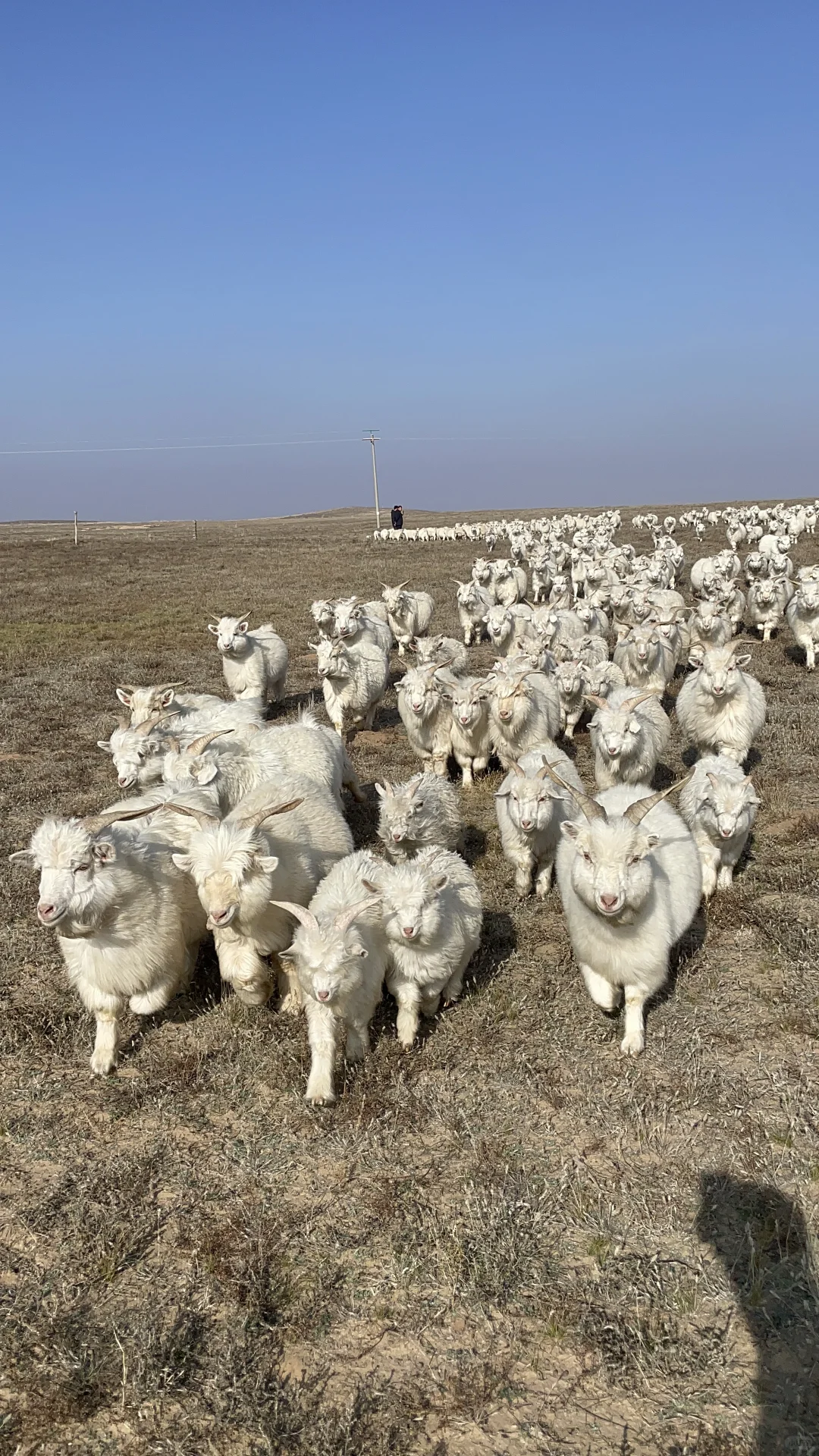 ������ �����ɵ����� �����Լ�������������