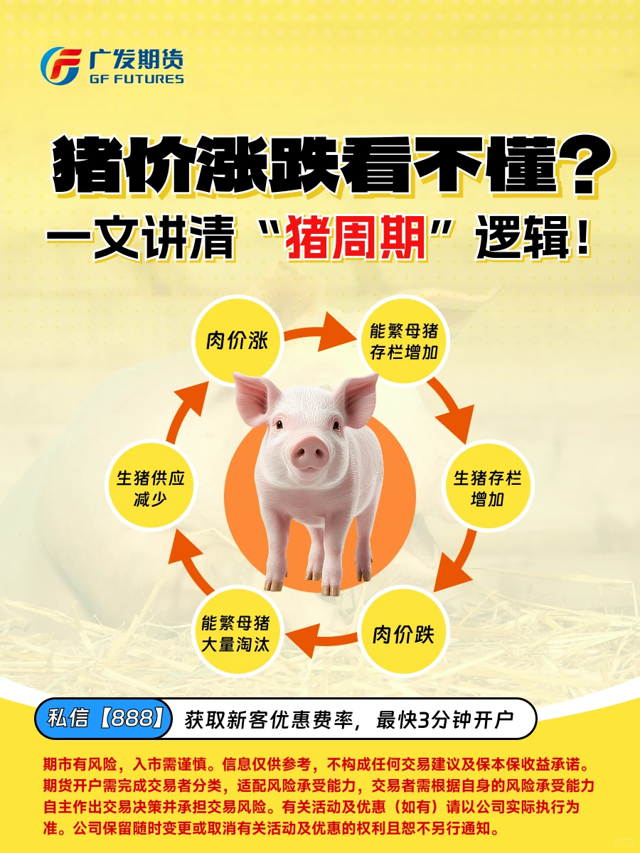 �����ǵ���������һ�Ľ��塰�����ڡ��߼���