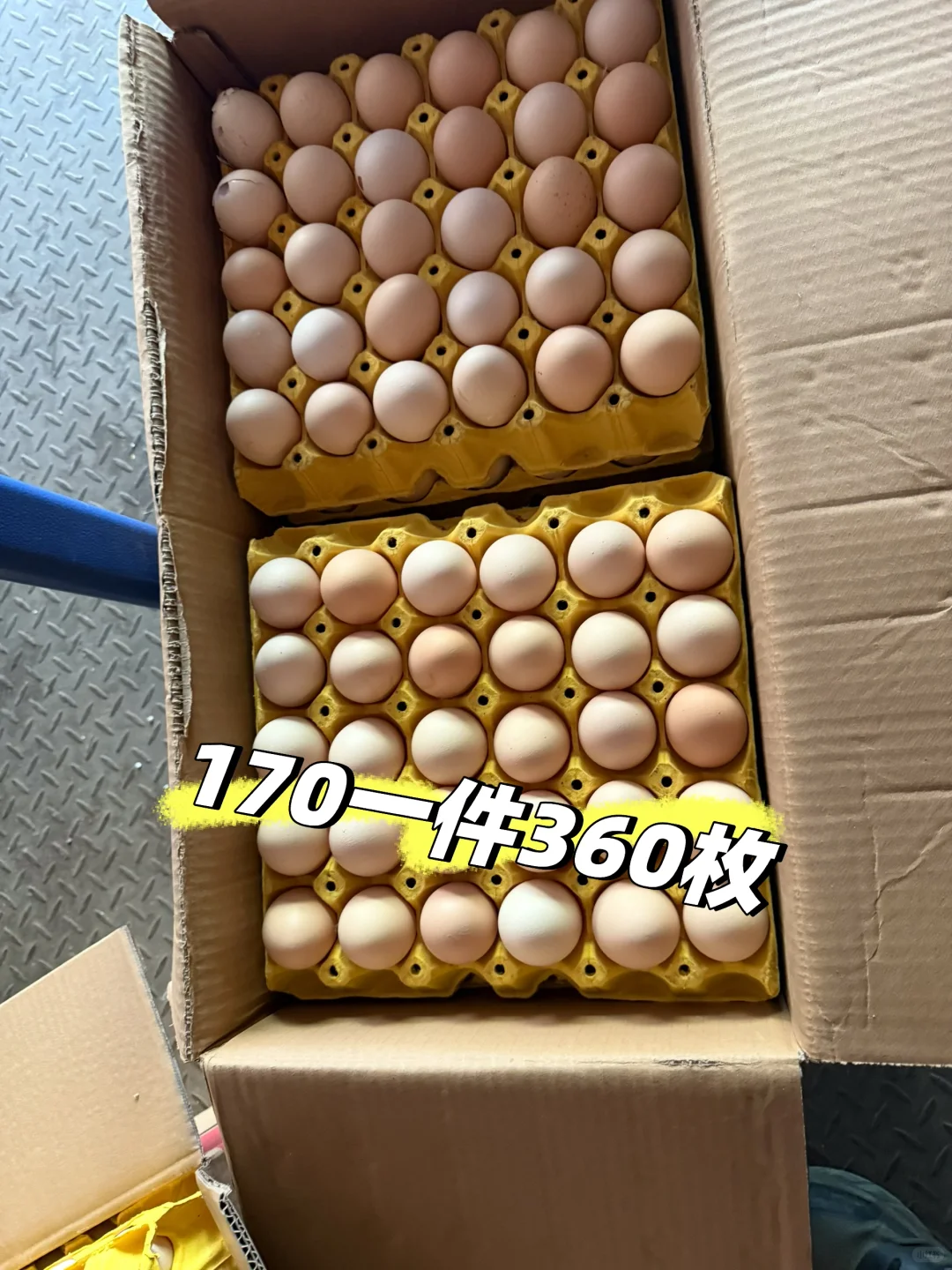 �Ͼ���������