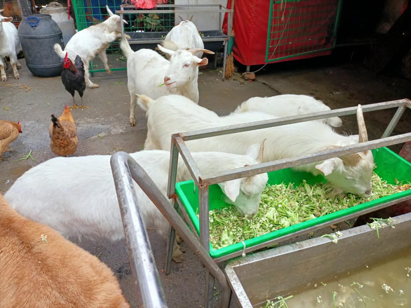 ĸɽ��20һ�̨��·��