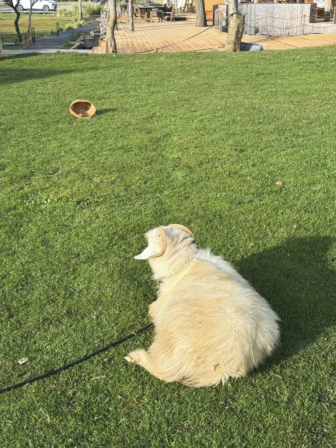 С�����ʲô����