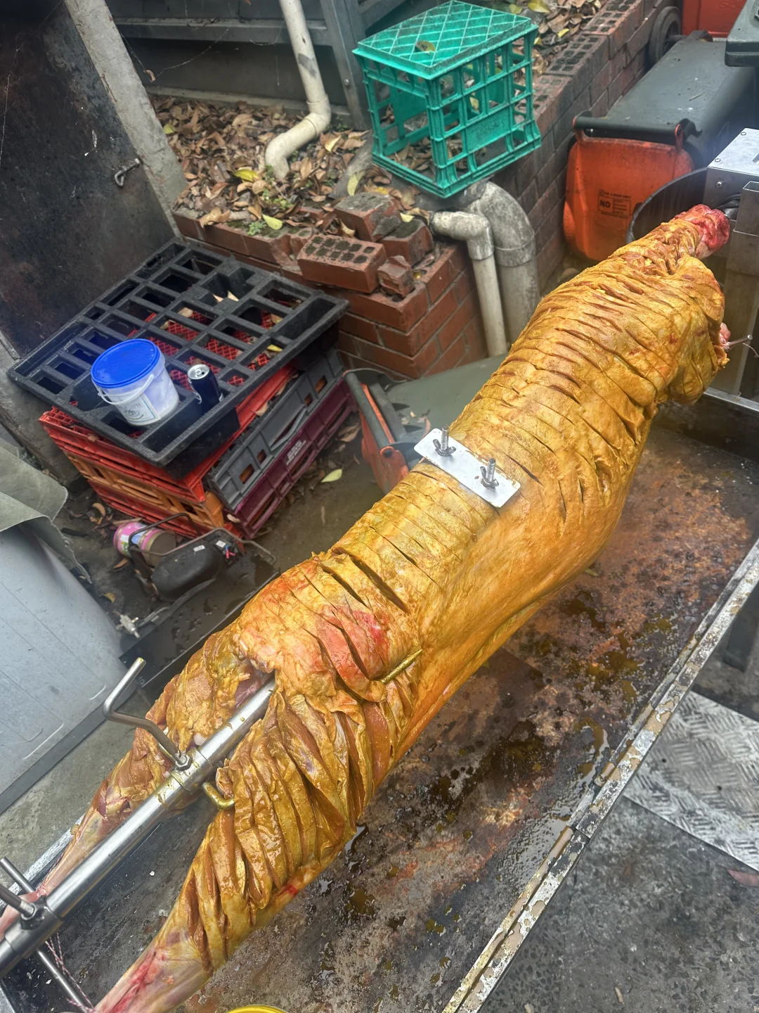 ??ī������ȫ��$398һ��ֻ��ȫ��?