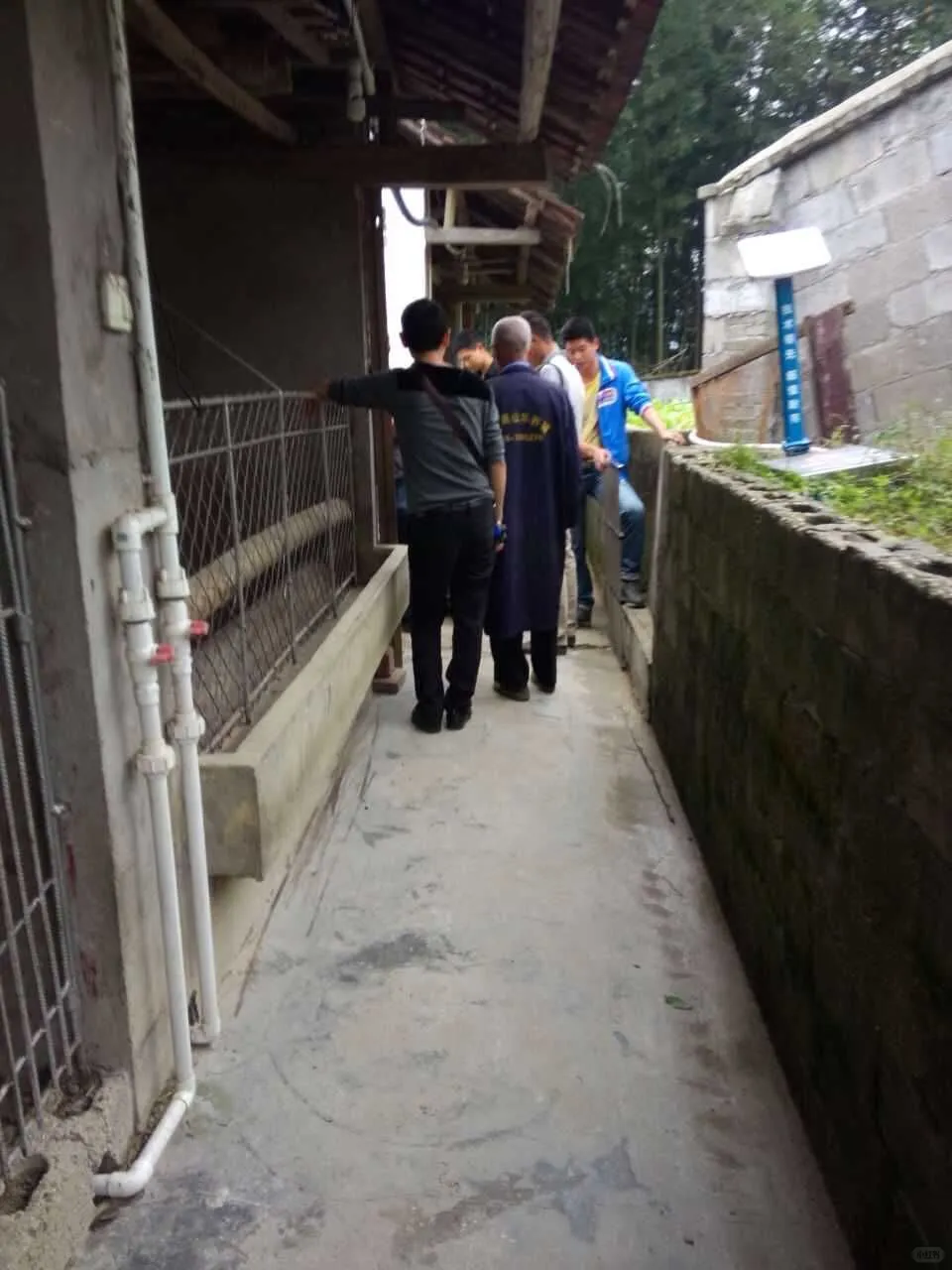 八零后中年失业,回乡养黑山羊靠谱吗?