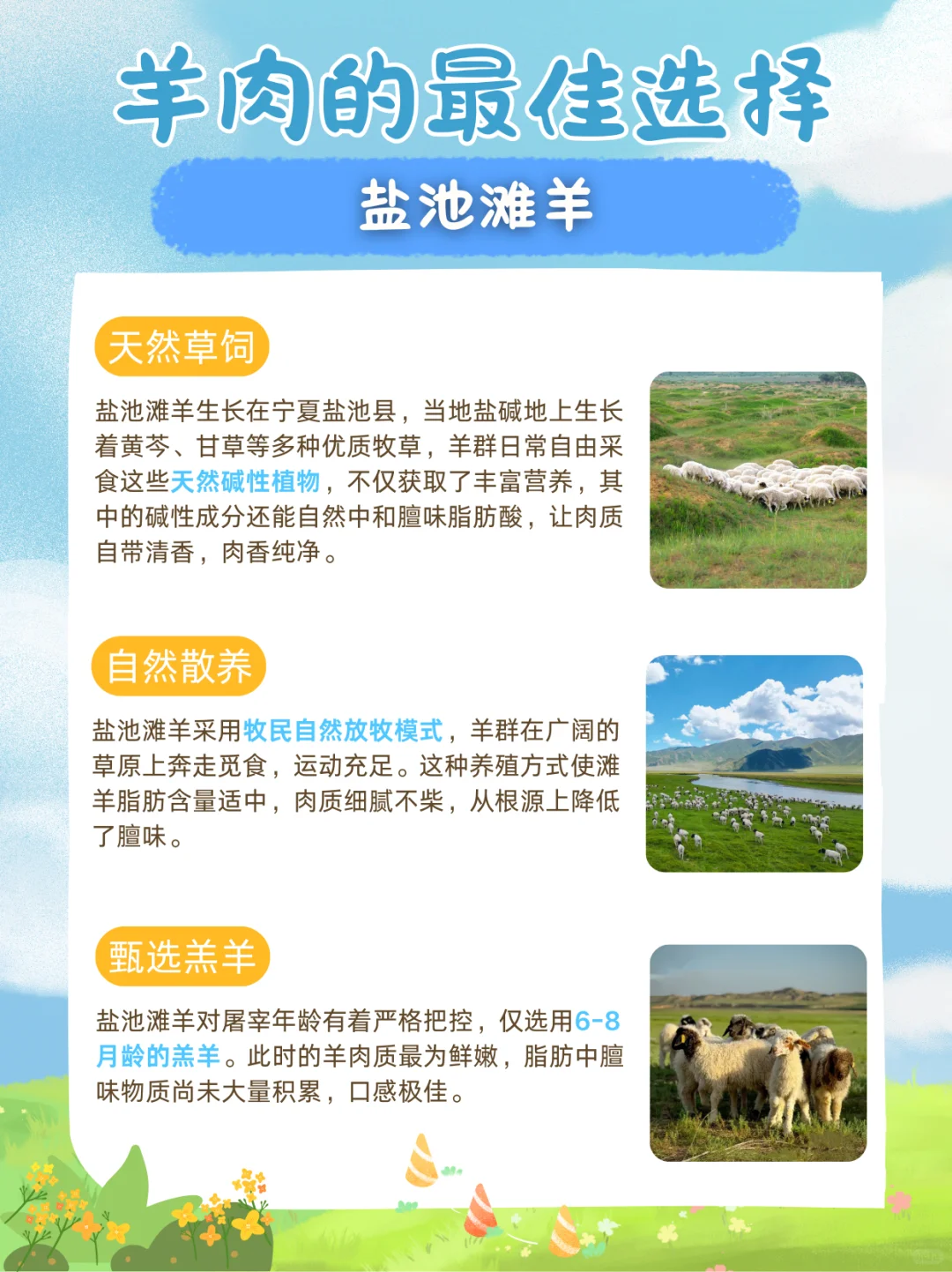 1??分钟学会如何挑选好吃还不膻的羊肉