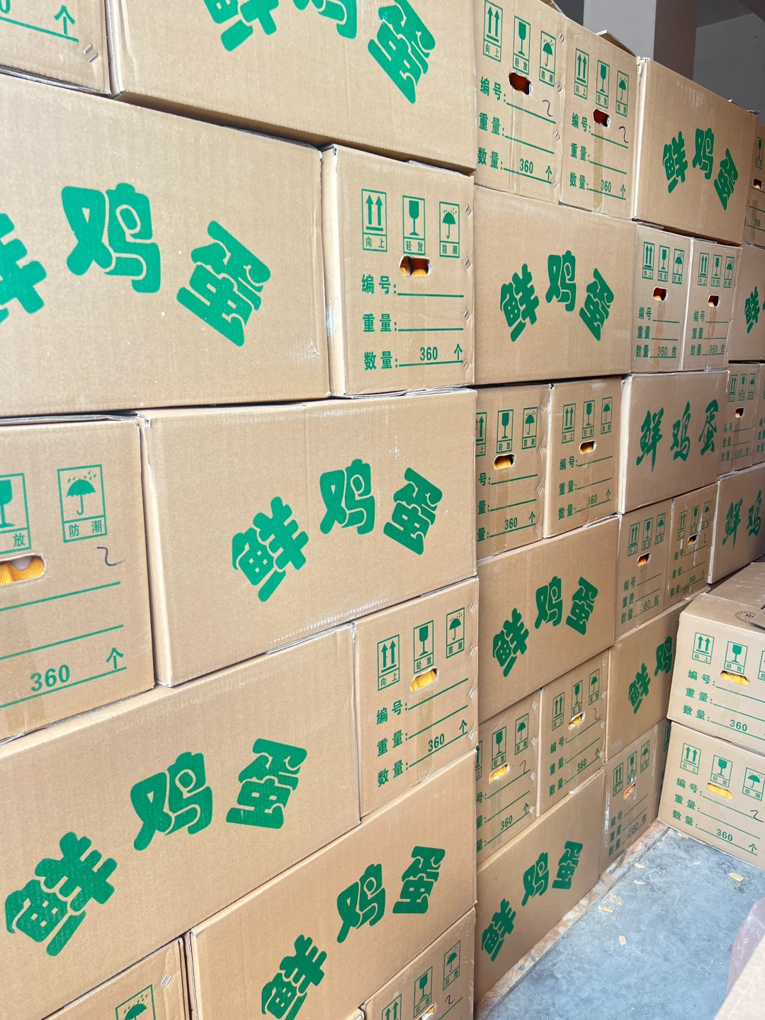 �ʼ�����������ӭȫ�������ϰ��µ�