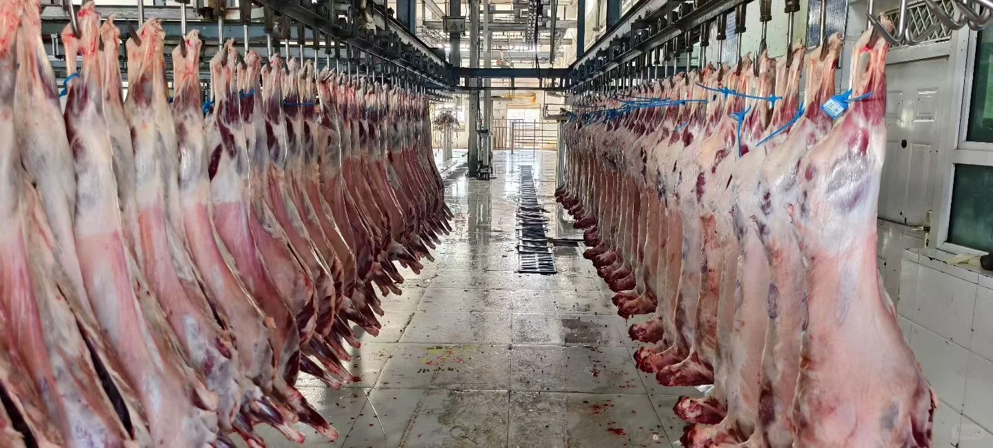 �½���ͷ��Ϊʲô�ó���