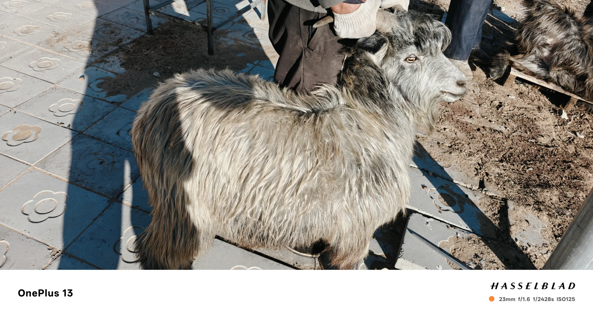 ��Ժ������С�����ϵ��