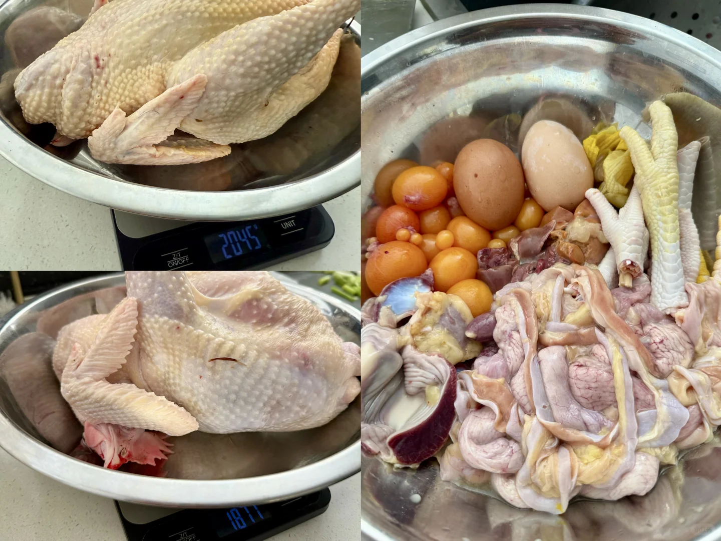 ?����˹��ʳ| WYLIEũ����ļ�Ѽţ��