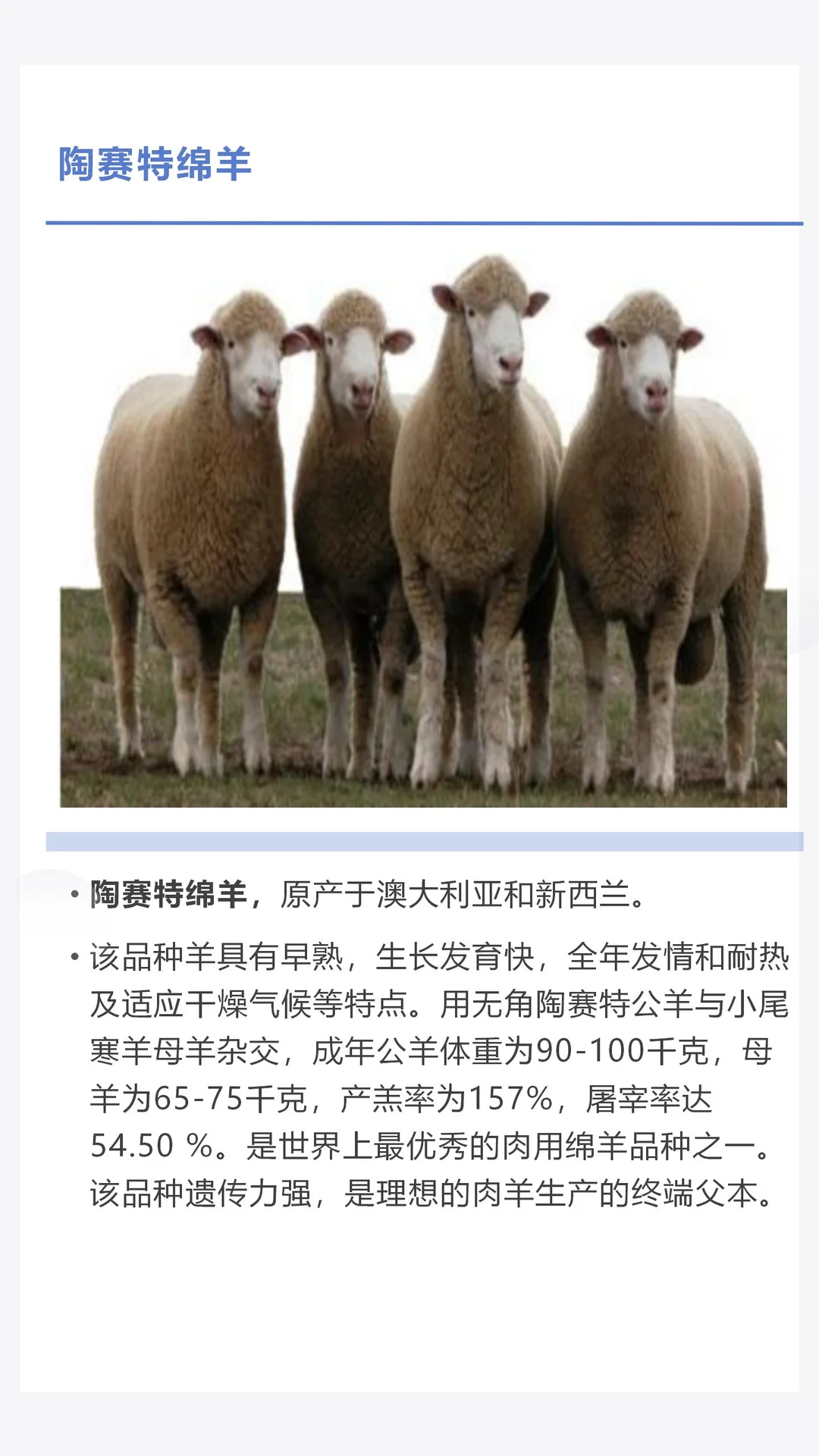 �������������������һ������