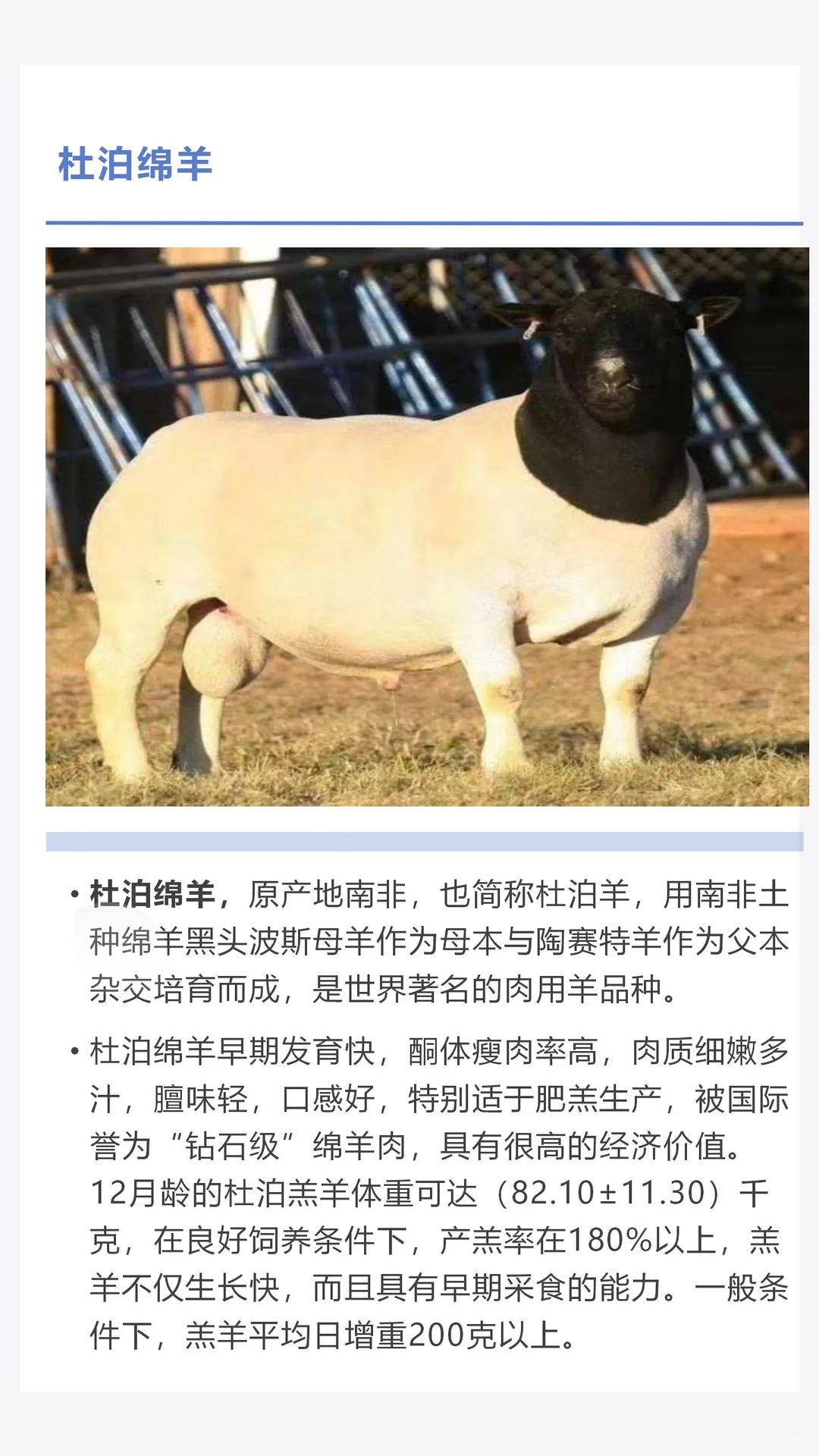 �������������������һ������